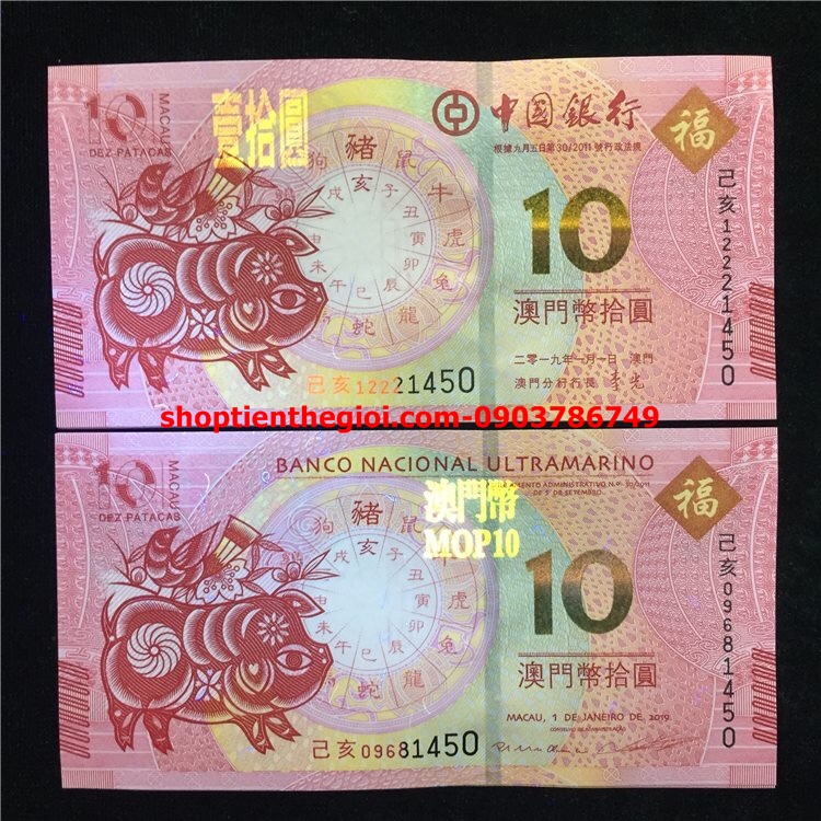 Tiền con heo 10 dola macao patacas